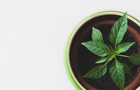 你的背景符合英国留学本科申请条件吗?